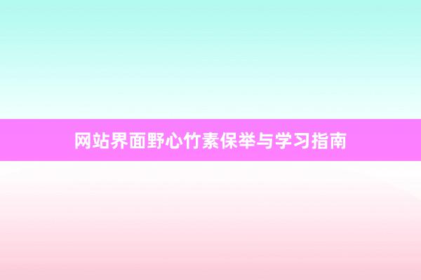 网站界面野心竹素保举与学习指南
